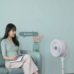 Напольный вентилятор Beang air circulation fan FZS1-Pro фото 2