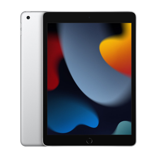 Планшет Apple iPad 10.2 2021 64Gb Wi-Fi Silver Уфа купить в интернет-магазине