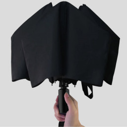 Зонт Pinlo Automatic Umbrella PLZDS04XM (черный) фото 1