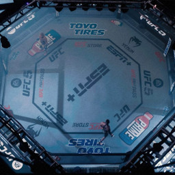 Игра UFC 5 для PS5 фото 4