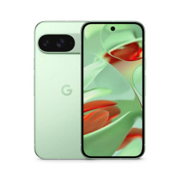 Смартфон Google Pixel 9 12/128GB Wintergreen купить в Уфе