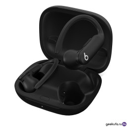 Беспроводные наушники Beats Powerbeats Pro 2 черные фото 1