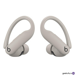 Беспроводные наушники Beats Powerbeats Pro 2 серые фото 2