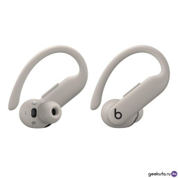 Беспроводные наушники Beats Powerbeats Pro 2 серые фото 3