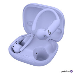 Беспроводные наушники Beats Powerbeats Pro 2 фиолетовые фото 1