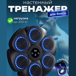 Настенный музыкальный тренажер для бокса Boxing Target фото 2