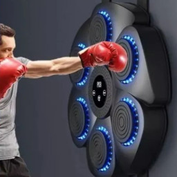 Настенный музыкальный тренажер для бокса Boxing Target фото 4